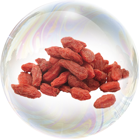 Goji Berry (Lycium barbarum) **